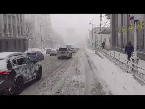 Видео: Владивосток,снежный циклон,12 марта 2023 года,накануне снега не было!
