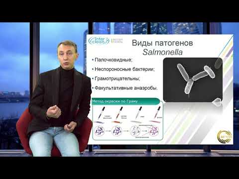 Видео: Выявление патогенных микроорганизмов на предприятиях