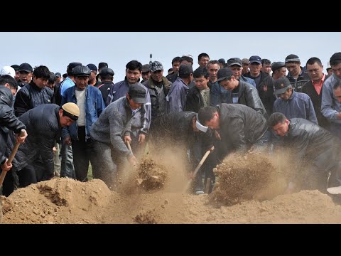 Видео: Бәрін өзім шешем деп, өзінің штанын шеше алмай қалғандар.../ ұстаз Жарқын Мырзатай 💚 АЛИ студиясы