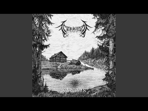 Видео: Дорога