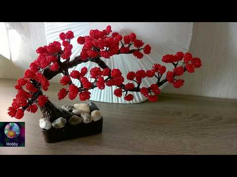 Видео: Только бонсаи. Зима - весна 2017. Топ 20