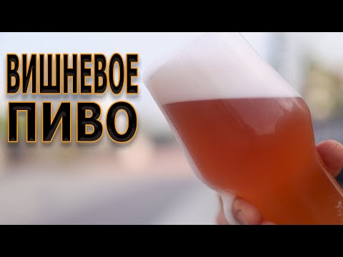 Видео: Вишневое пиво