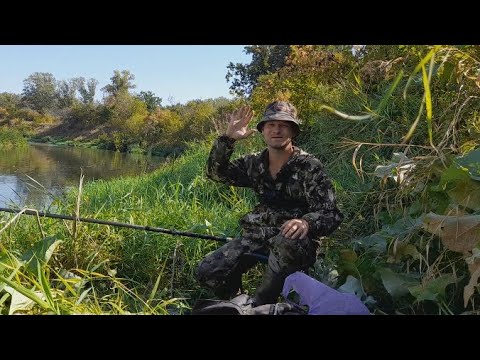 Видео: Рыбалка осенью на поплавок. Рыбалка на плотву. Она клюёт в траве у берега!