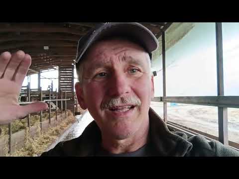 Видео: Про козлятник...