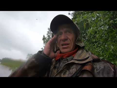Видео: 24 Июня. Очень мокрая рыбалка.