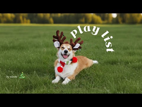 Видео: 𝐏𝐥𝐚𝐲𝐥𝐢𝐬𝐭 [Cafe] Влюбишься с первой секунды🍌 Зимний кафе-плейлист🎵 Сегодня всё идеально