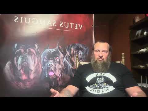 Видео: Первое занятие Коррадо и Роззи. Разбор вопросов по теме. 