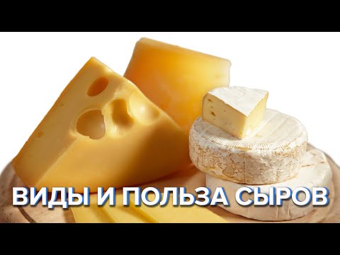 Видео: СЫРЫ - виды и польза, какой выбрать?