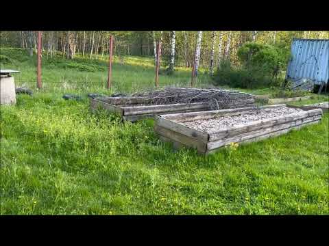 Видео: ПЕРВЫЙ ПРИЕЗД НА ФАЗЕНДУ 15 05 2024