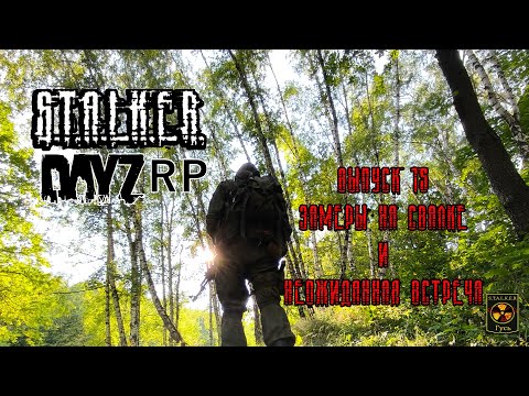 Видео: S.T.A.L.K.E.R. DayZ RP. (Выпуск 15 Замеры на свалке и неожиданная встреча.)