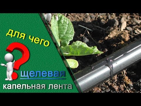 Видео: Капельная лента щелевая, для чего нужна и в чем преимущества