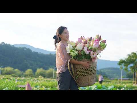 Видео: Банкет Лотоса | Постепенно я поняла, как трудно лотосу «выйти из грязи и остаться незапятнанными»