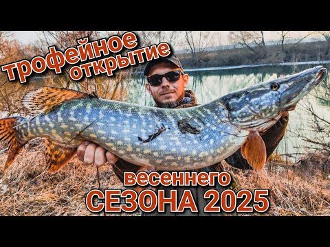 Видео: Трофейное открытие весеннего сезона 2025 | на что ловить щуку и окуня весной | Джиг против джиг рига