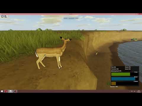 Видео: ИГРАЮ ЗА ИМПАЛА !  Дикая Саванна /  Wild Savanna Роблокс / Roblox
