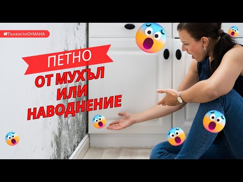 Видео: Видове петна от влага. Какви са разликите между петна от наводнение и от кондензираща влага с мухъл?