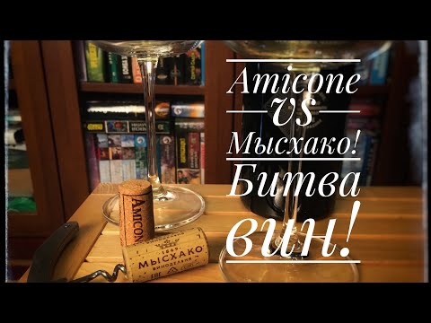 Видео: Аппассименто что это? Разговоры о вине и не только!