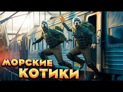 Видео: #107 ПРОСЫПАЕМСЯ, А ПЕРЕД НАМИ СТОИТ ОГРОМНЫЙ КАБАН. ПОТЕРЯЛ iphone 15 PRO.