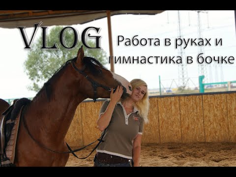 Видео: VLOG. Гимнастика и работа в руках с молодой лошадью.