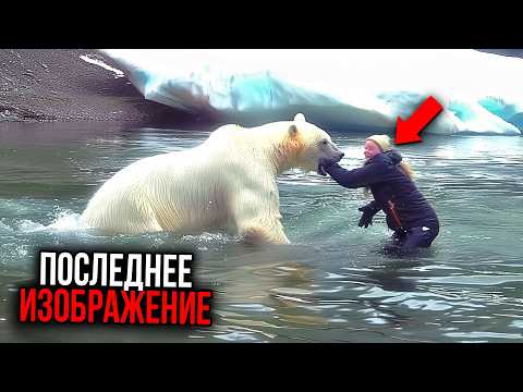 Видео: 5 самых жестоких смертей от белых медведей в истории