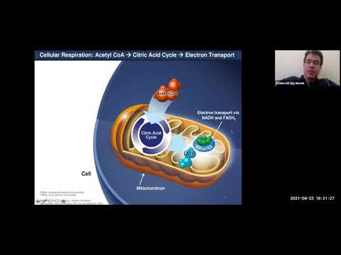 Видео: Вебинар Гипоксия клетки – биохимия, которая нужна каждому, Щулькин А В.