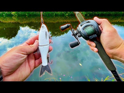 Видео: Ловля щуки на скользящую приманку!