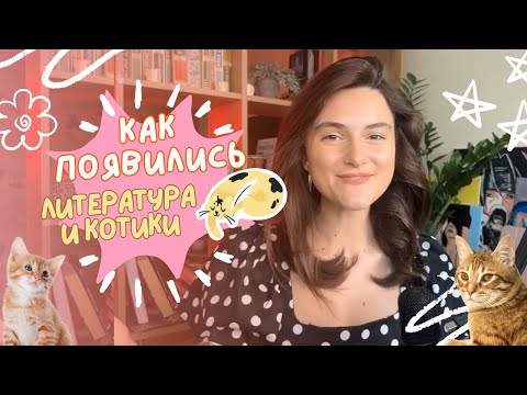 Видео: Что такое «Литература и котики» и как мы готовимся к ЕГЭ?