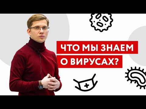 Видео: Какие вирусы известны человеку? И что мы о них знаем?