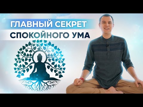 Видео: Как сделать ум спокойным и управляемым? Как научиться контролировать ум?