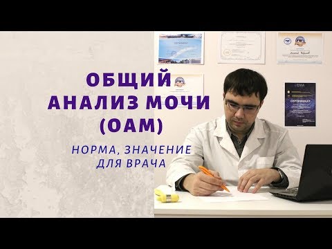 Видео: Общий анализ мочи (ОАМ): норма основных показателей, значение