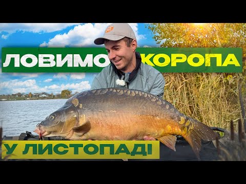 Видео: Ловля коропа у холодній воді — тактика, насадки і корм | Змагання на водоймі Острів