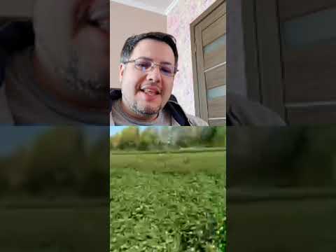 Видео: Прямой эфир Delta Peony Holland, Как выращивают пионы в Голландии.