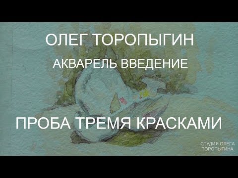 Видео: Акварель. Введение. Проба тремя красками