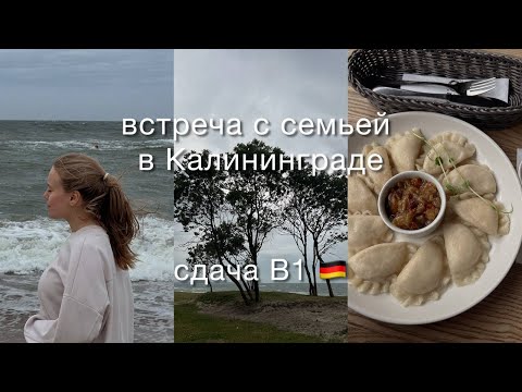 Видео: снова тут: встреча с семьей в Калиниграде & мои результаты B1 немецкого & Варшава