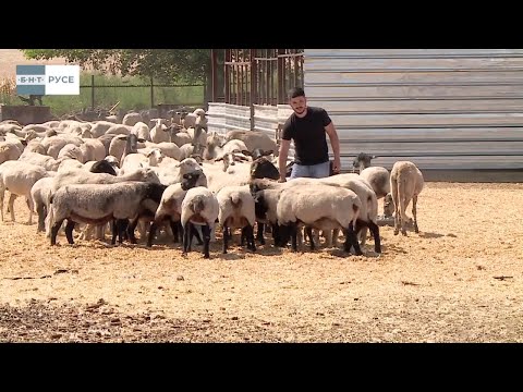 Видео: ЗАЩО БЪЛГАРИЯ? - ОТ СЕЛО БЪЗЪН ДО ВИЕНА И ОБРАТНО - ТАМЕР ЮСЕИНОВ 13.10.2024
