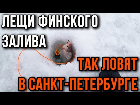 Видео: Лещи Финского залива, так ловят в Санкт-Петербурге.