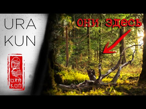 Видео: Японский лес в котором...   URA KUN Япония 2025 Влог