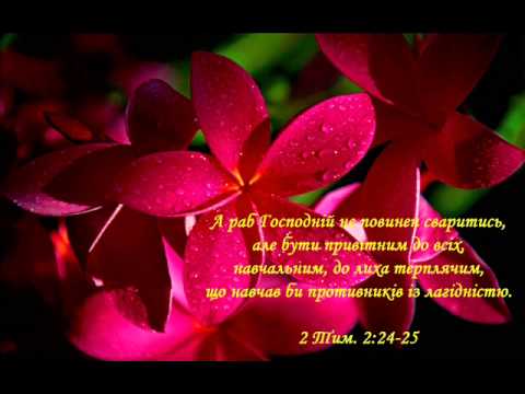 Видео: Друге Послання до Тимофія 🕎