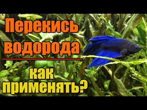 Видео: Перекись водорода для аквариума