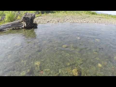 Видео: Рейд на реку чамгу№9