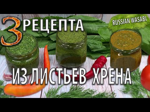 Видео: 3 РЕЦЕПТА из листьев хрена на зиму🍃Витаминная приправа из хрена🌶️Заготовка Хрен на зиму