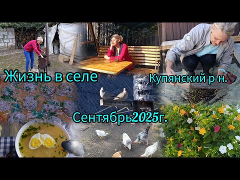 Видео: Стреляют но мы живём😔Сельские будни/Собираю семена цветов#село #жизньвселе 