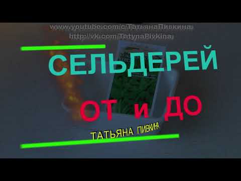 Видео: Сельдерей от ПОСЕВА до ВЫСАДКИ, РЕЗУЛЬТАТ с Татьяной Пивкиной