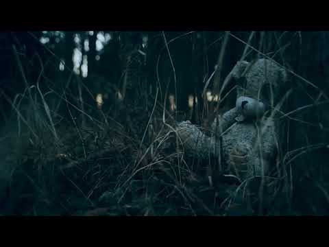 Видео: Decord - Тень