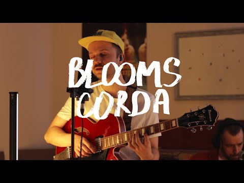 Видео: Blue Lizard / BLOOMS CORDA // Найдорожчі речі у світі