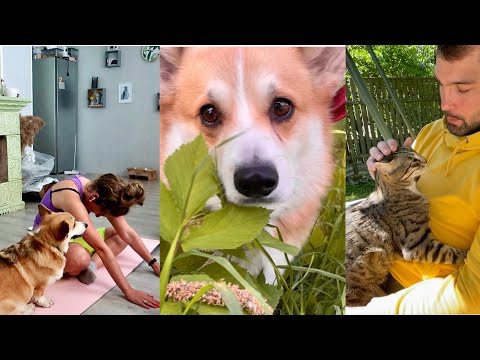 Видео: Не понимают, что я делаю 😂Летний день в теплой компании ☀️VLOG