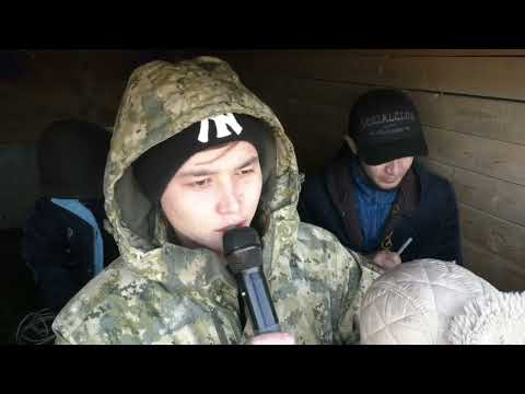 Видео: Телман жігіттерінің бата алу кокпары