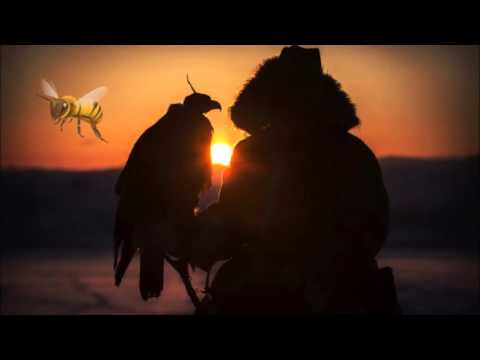 Видео: АДАМ БОЛЫП ӨМІРГЕ ЖАРАЛҒАНША