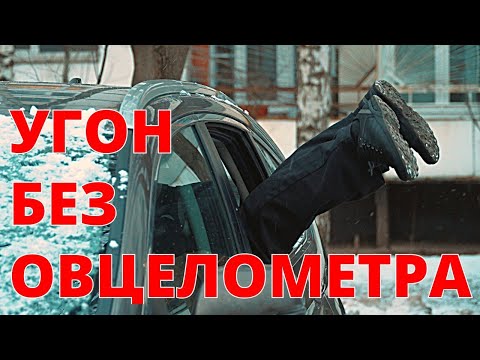Видео: Сравнение Webasto, Eberspacher и Binar. Угон Хонда.
