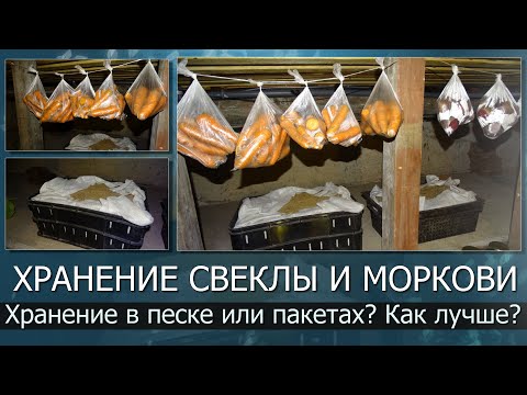 Видео: ХРАНЕНИЕ МОРКОВИ И СВЕКЛЫ//Лучший способ хранения свеклы и моркови//Хранение в песке или пакетах?