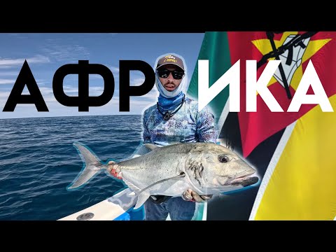 Видео: Тропическая рыбалка: в поисках афиканских монстров